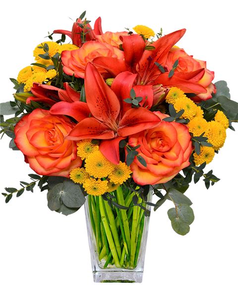 Bouquet toni