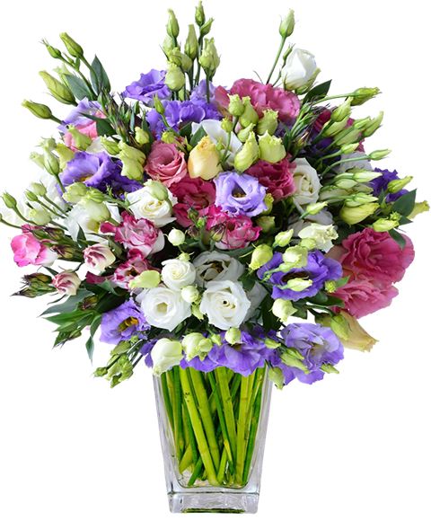 Bouquet