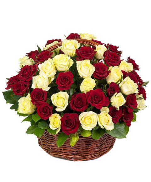 Composizione rose