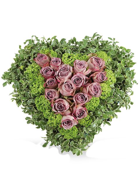 Cuore
