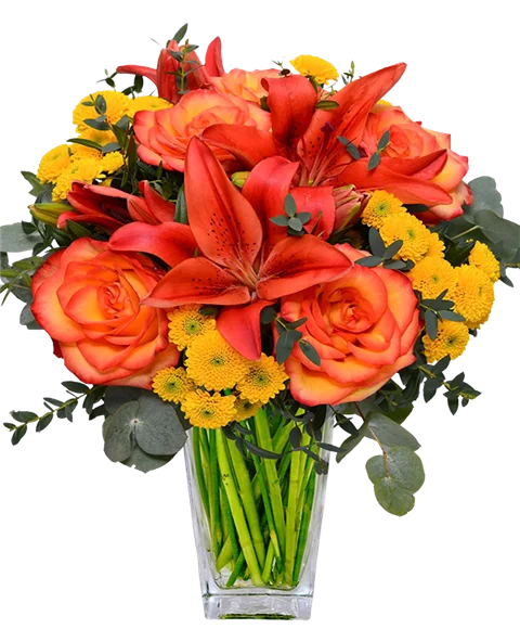 Bouquet toni