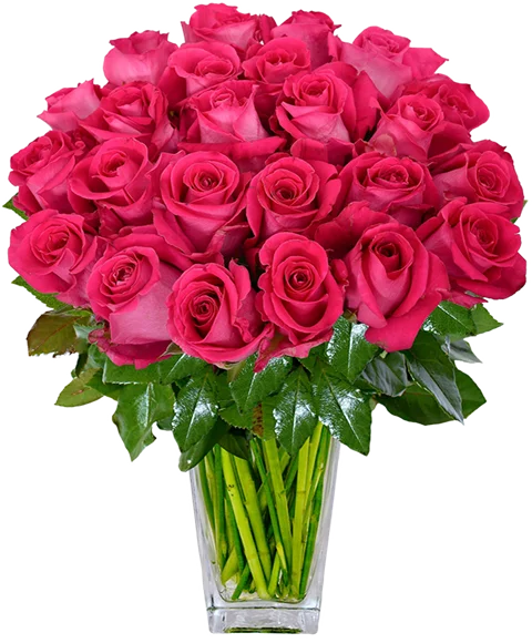 AUGURI COMPLEANNO DONNA FIORI ROSE ROSSE FUXIA ROSA CIALDA PER