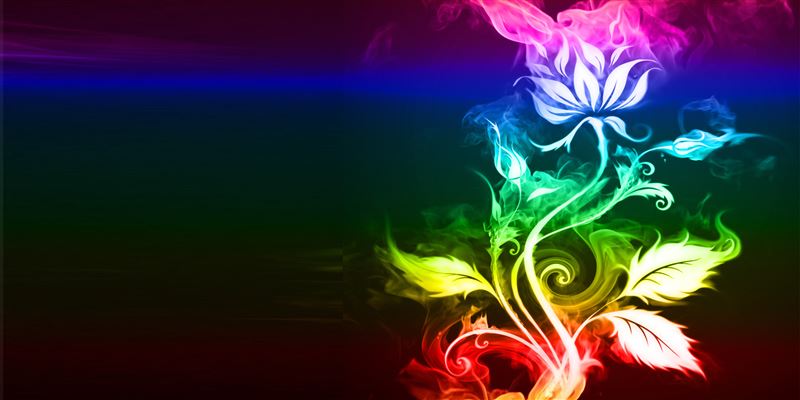Il Significato del Colore dei Fiori - Fioreria Al Carmine